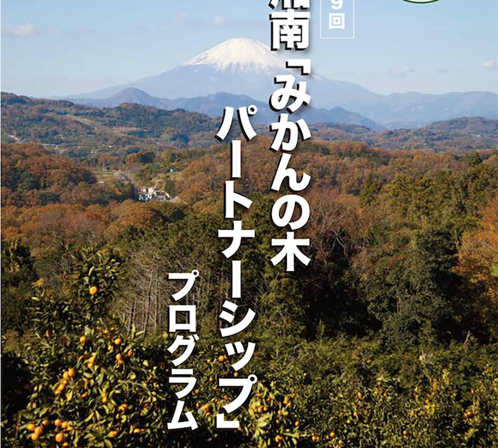 e8a4727a879c66d71b9cc45755a44e4b